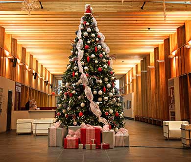 Интерьерные ёлки в Ростове-на-Дону